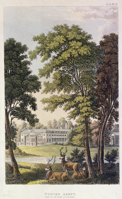 Woburn Abbey, fra Ackermanns 